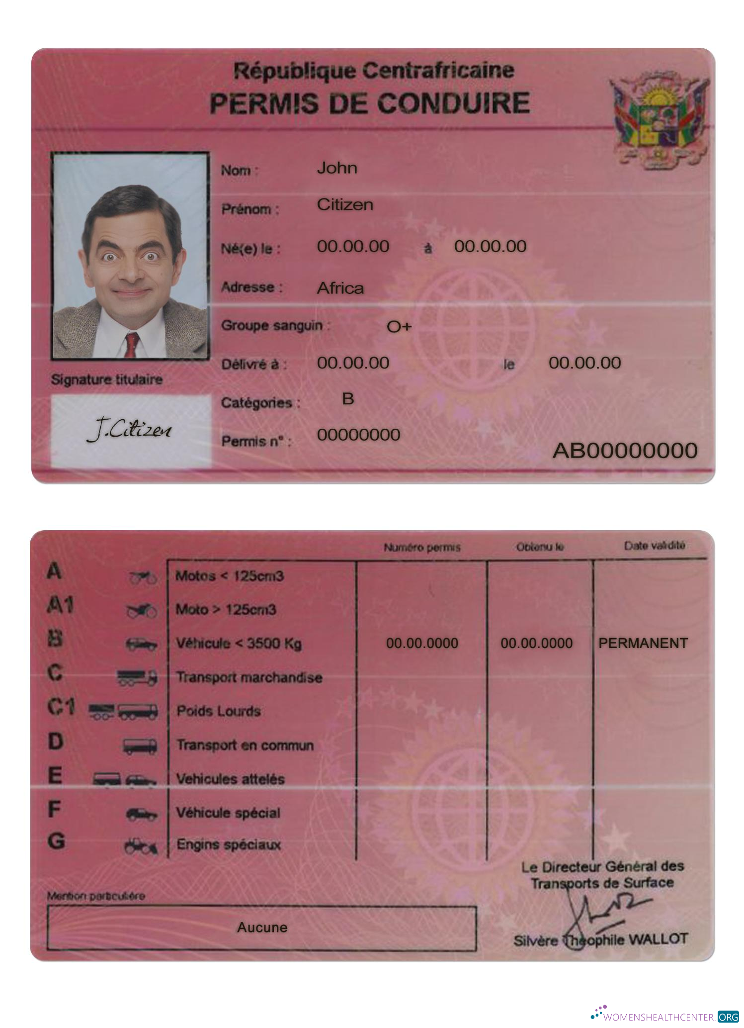 download Central African driving license